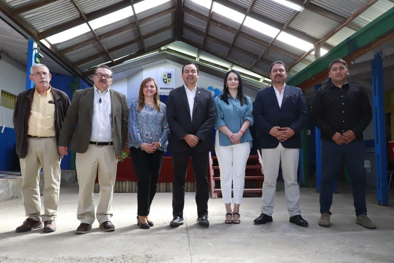 Puntajes Simce Escuela Los Coligues