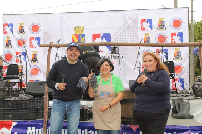 Fiesta de la Vendimia, Comité Campesino de Rucapequén