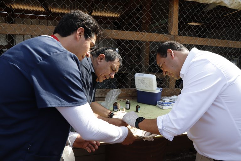 Usuarios de Prodesal participaron en Taller de Prevención Sanitaria en aves de Corral