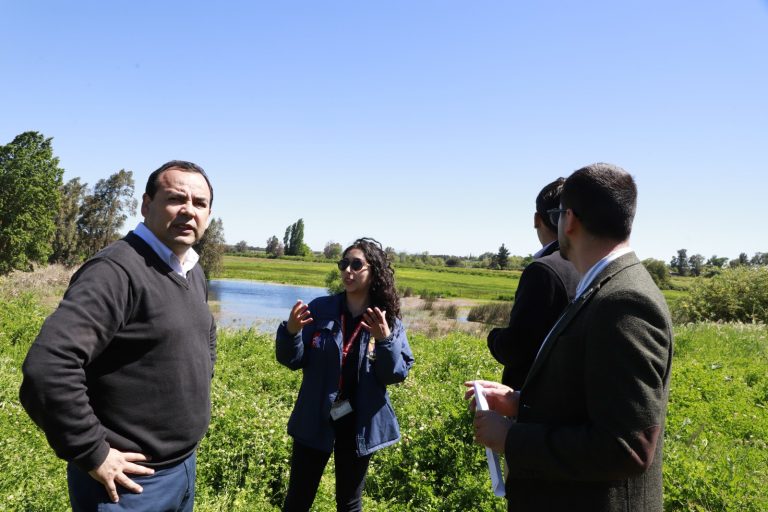 Tribunal Ambiental rechaza reclamación de Galilea S.A. y ratifica protección del Humedal de Chillán Viejo   